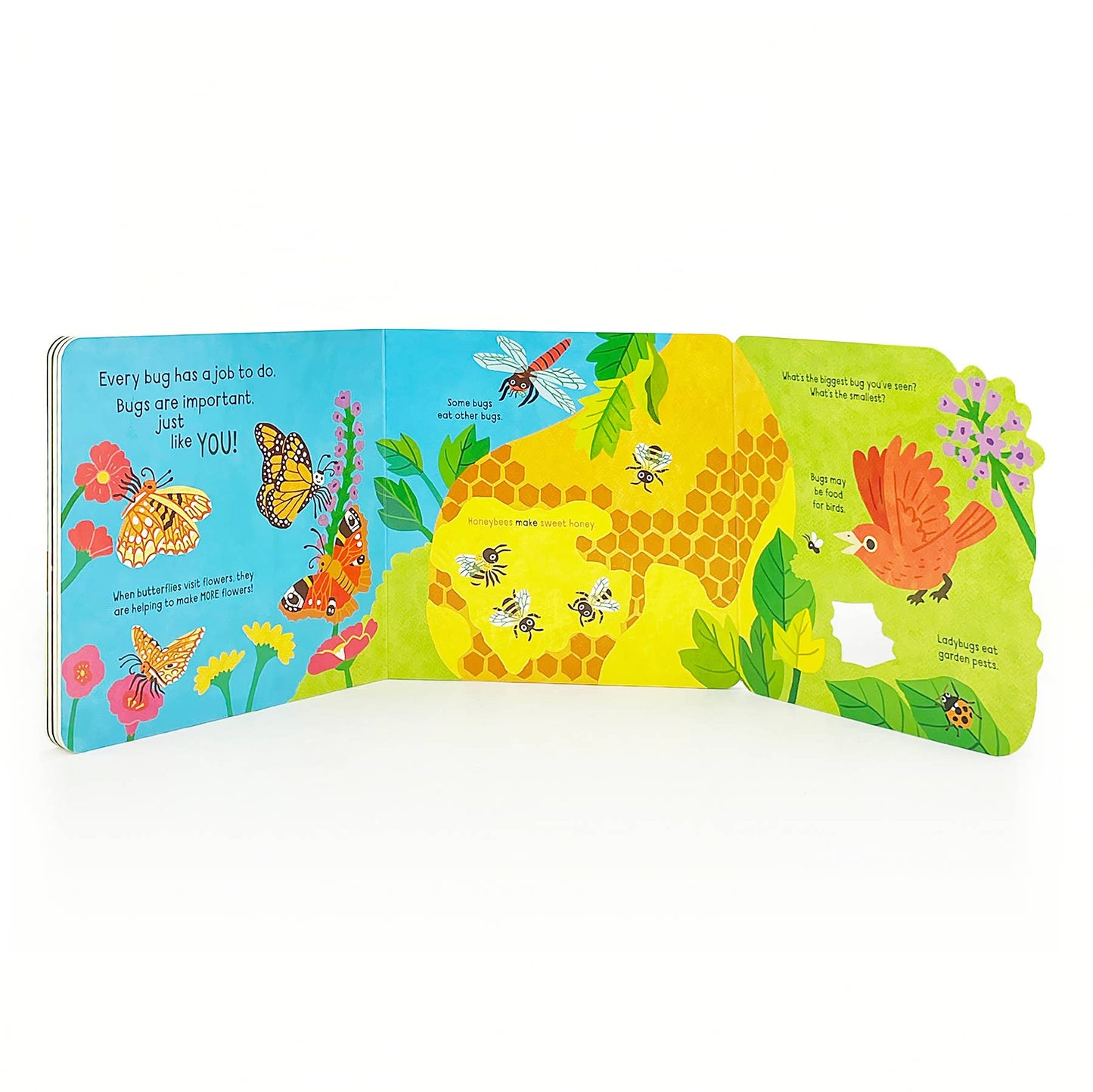 Little Wonders: Bugs Board Book