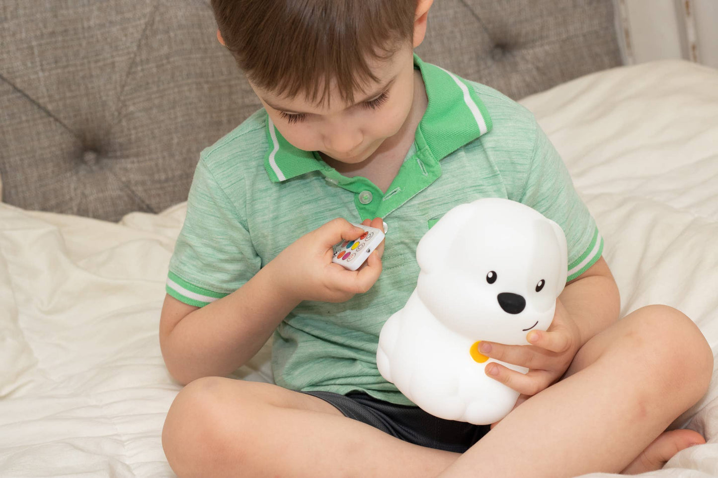 Lumipets LED Dog Night Light w/ Remote