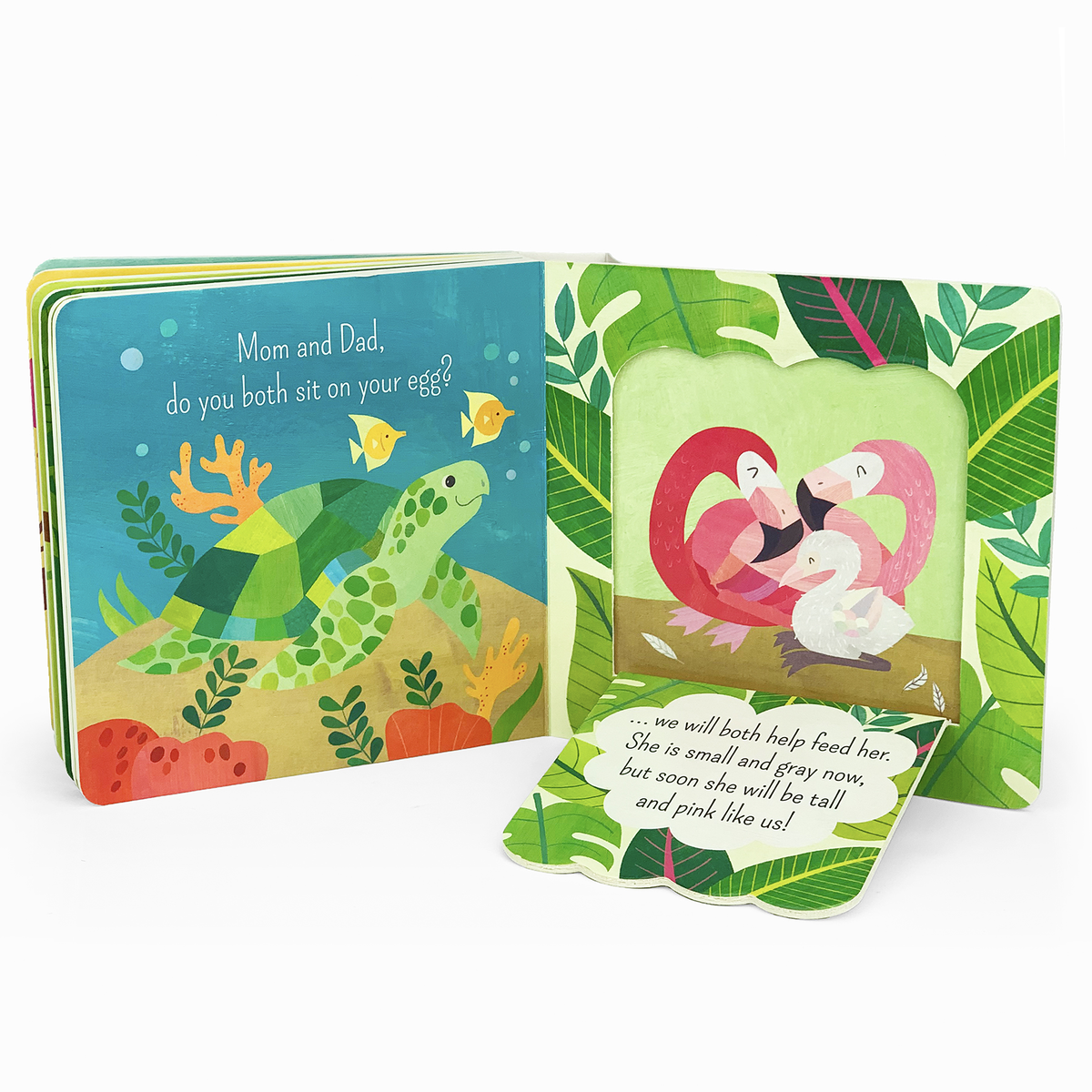 What Is A Flamingo? Board Book