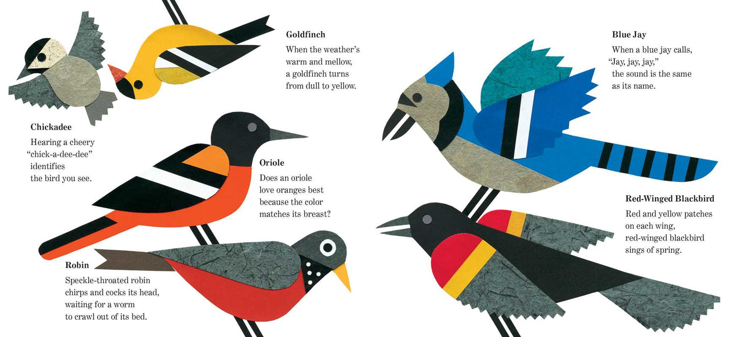 Lots of Spots Board Book