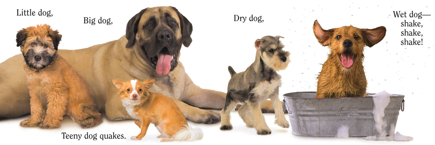 Dog by Matthew Van Fleet Board Book