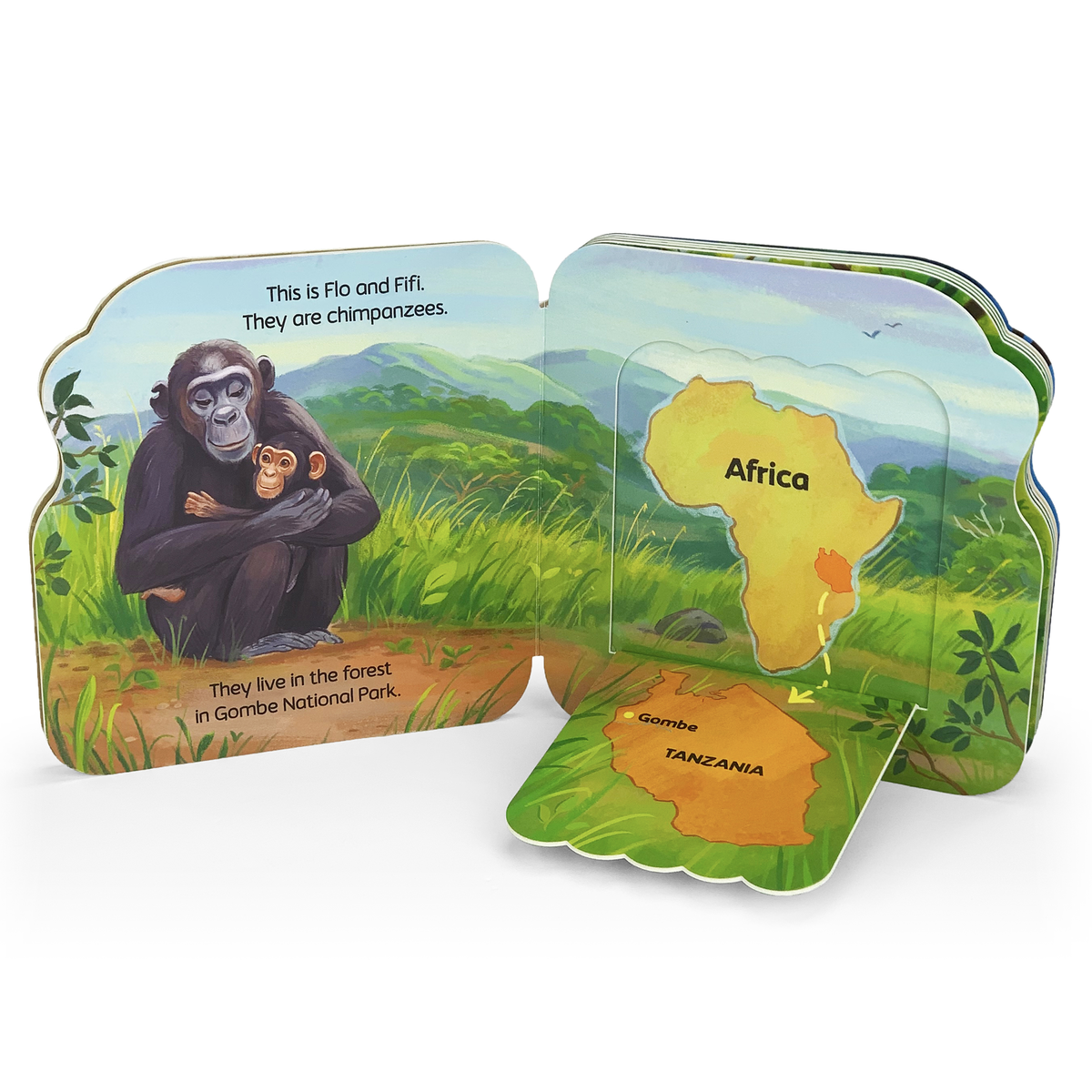 Jane & Me Chimpanzees Board Book