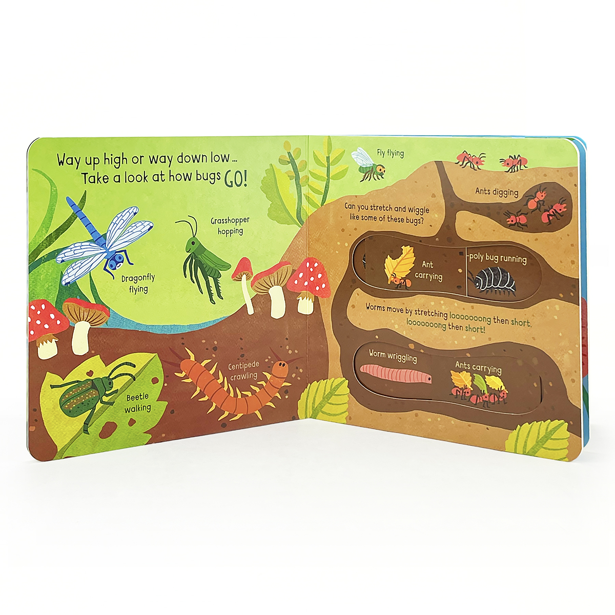 Little Wonders: Bugs Board Book