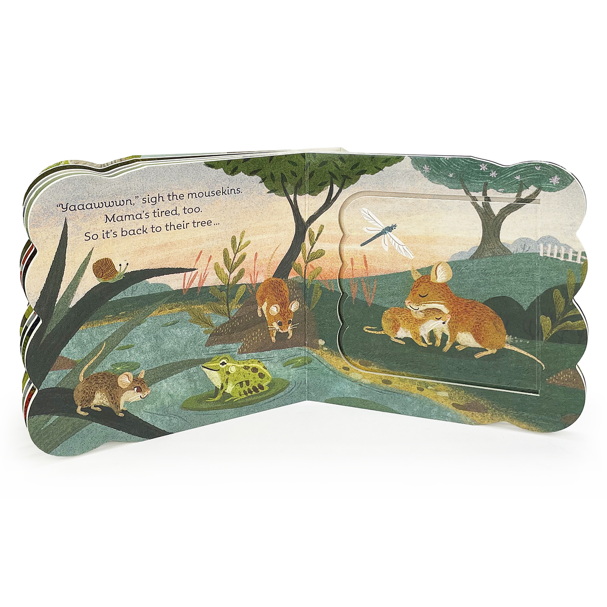 Little Brown Mouse Board Book