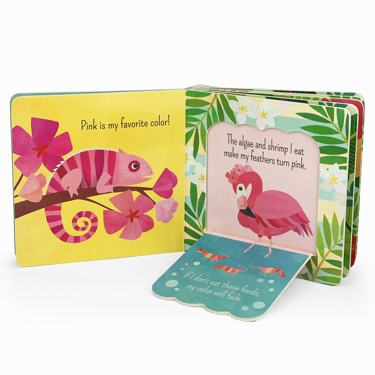 What Is A Flamingo? Board Book