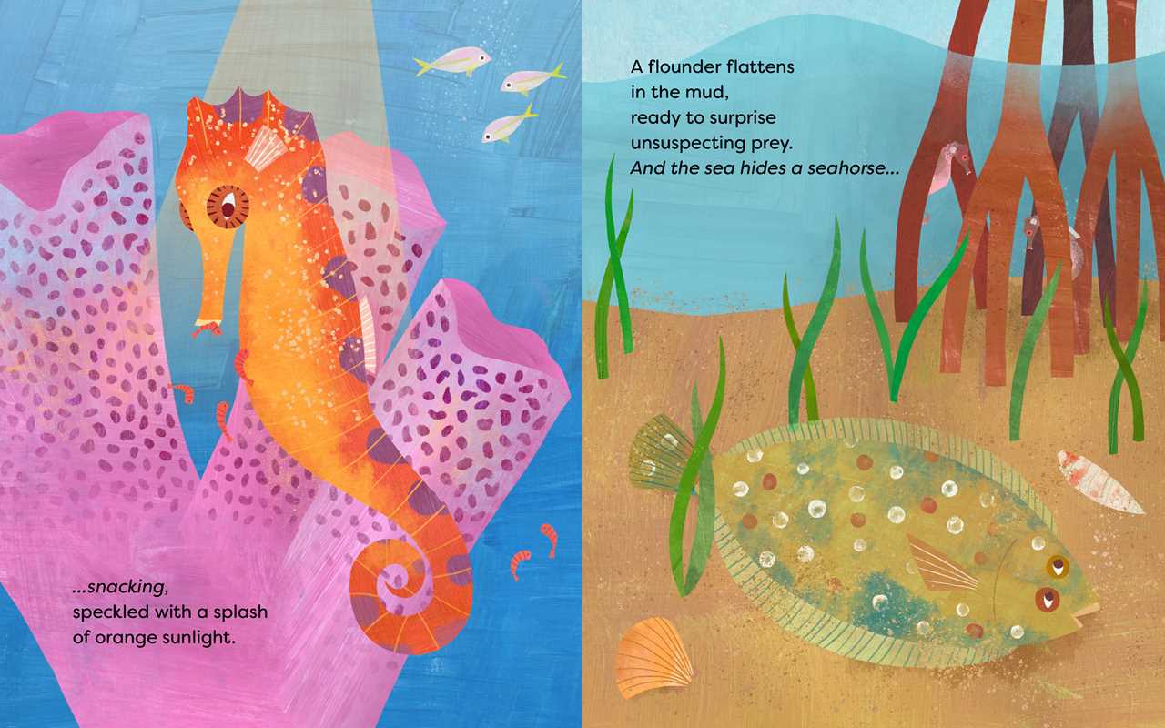 Sea Hides a Seahorse Book