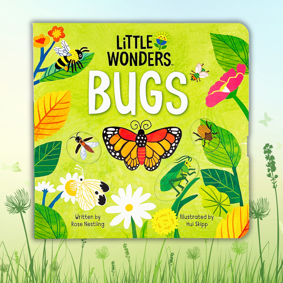 Little Wonders: Bugs Board Book