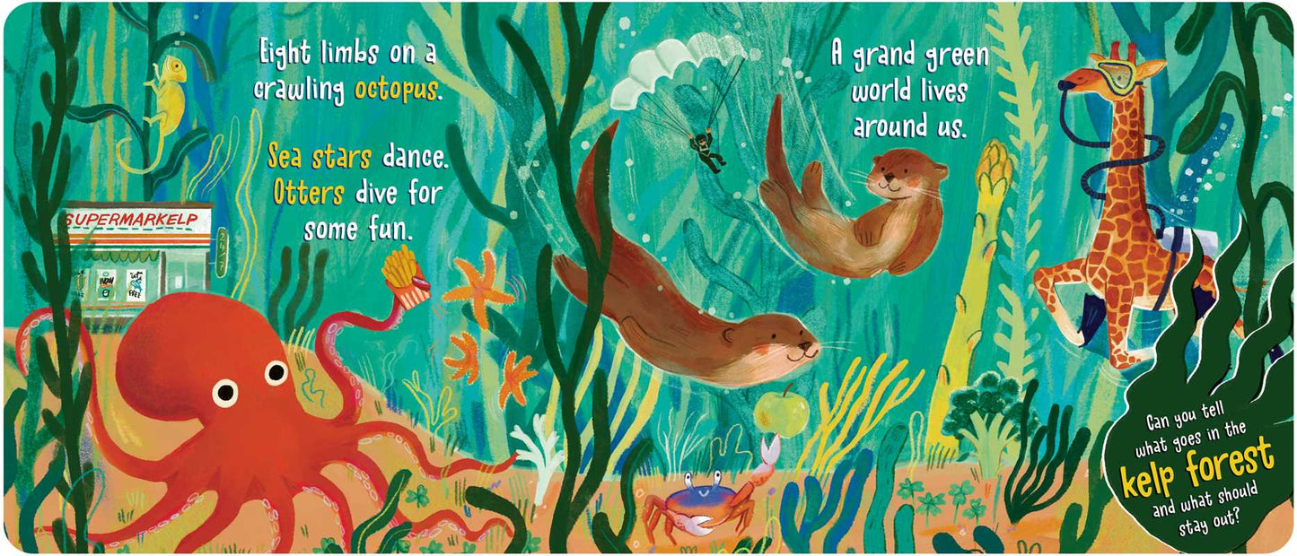 What Goes in the Ocean? Board Book