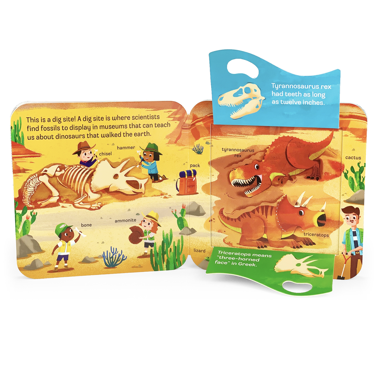 Dino Peek-a-Flap Board Book
