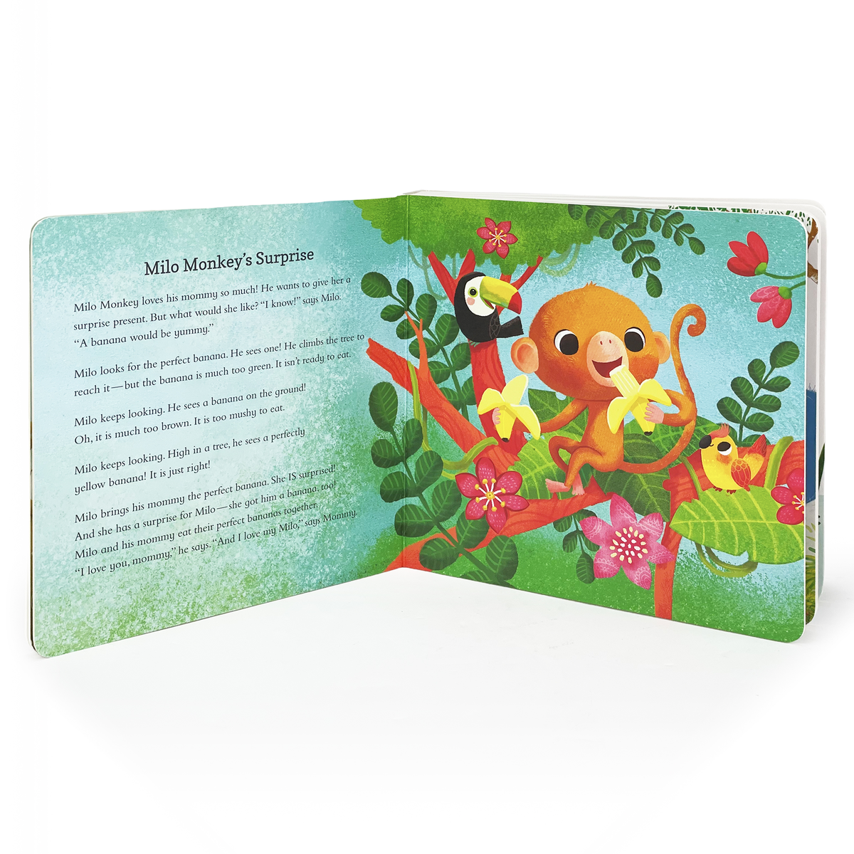 Collection of Stories for 1yr Old Board Book