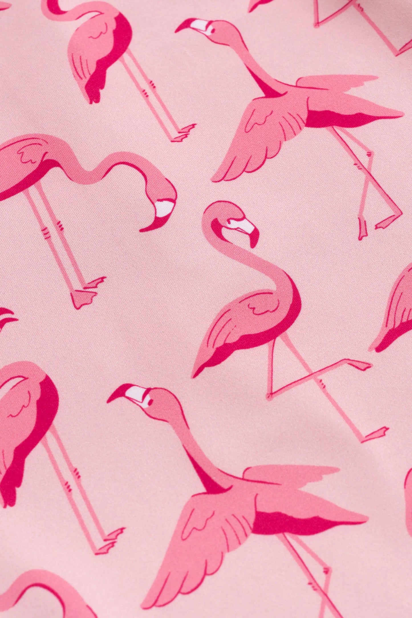 UPF 50+ Flamingo Ruffle Rash Guard Swimsuit