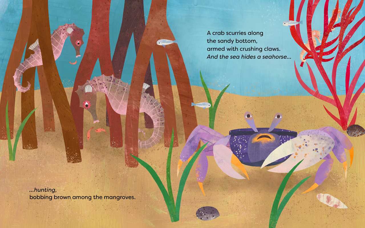 Sea Hides a Seahorse Book