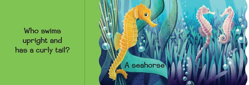 Who's Playing in the Ocean? Board Book