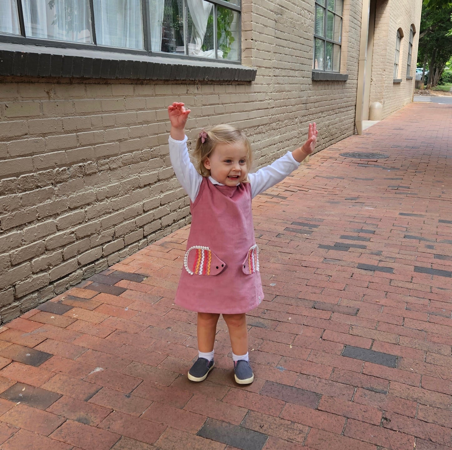 Organic Hedgehog Pocket Needlecord Dress