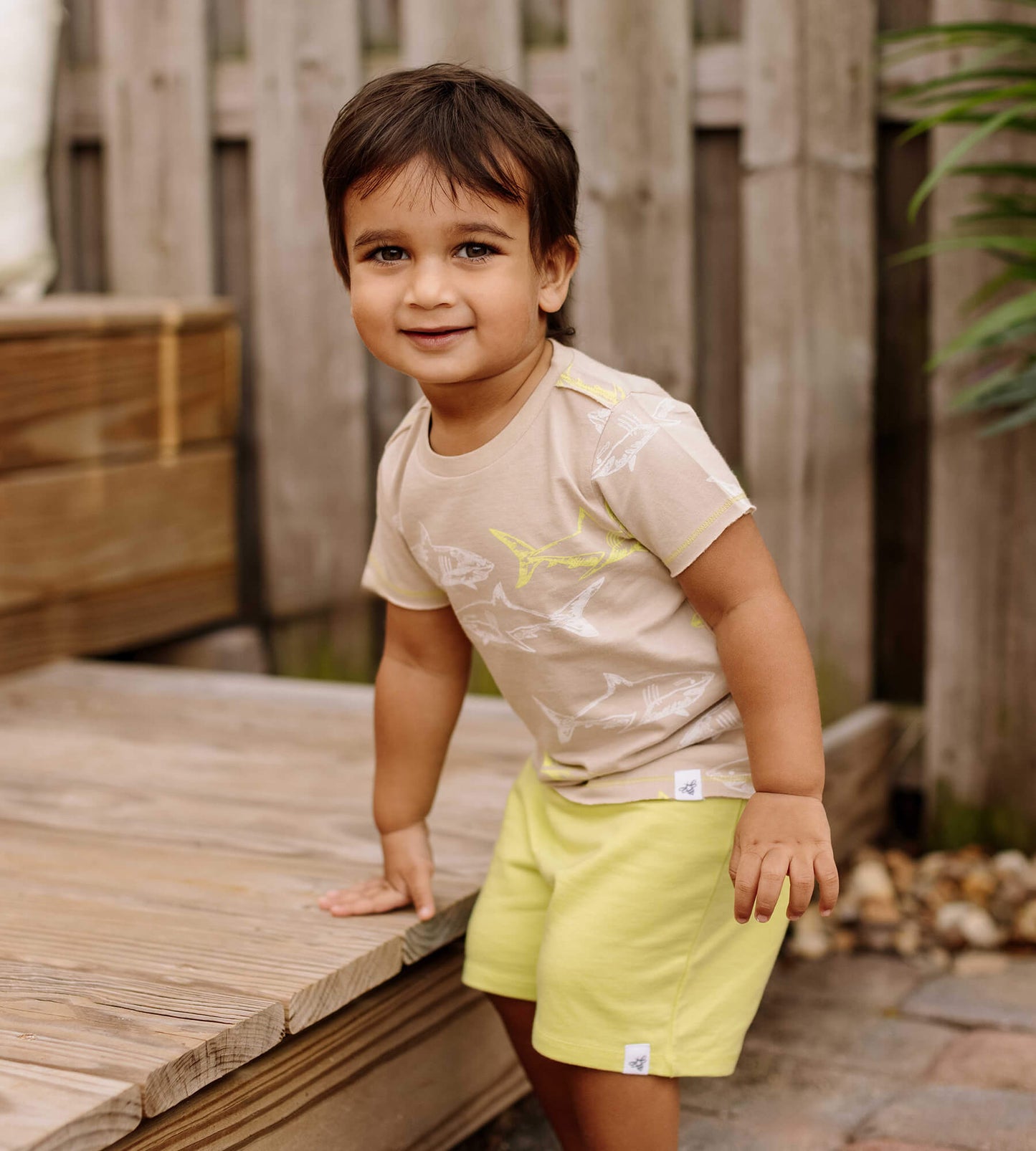 Great White Shark Organic Shirt & Short Set