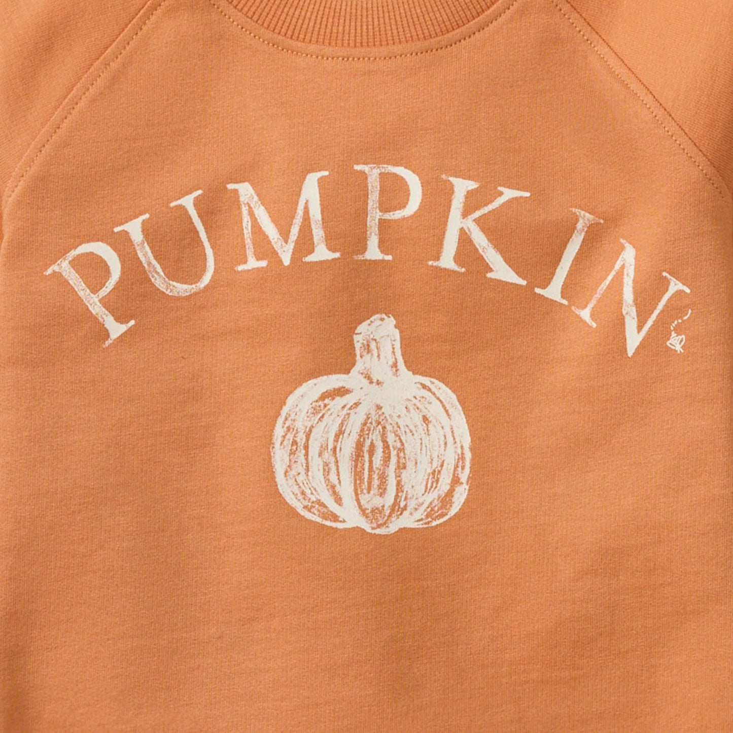 Pumpkin Organic Sweatshirt