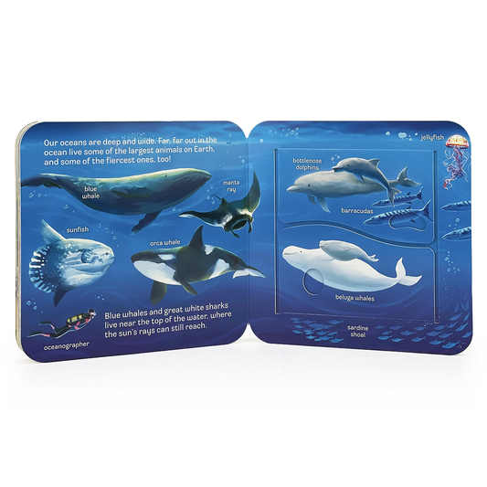Ocean Lift-a-Flap Board Book