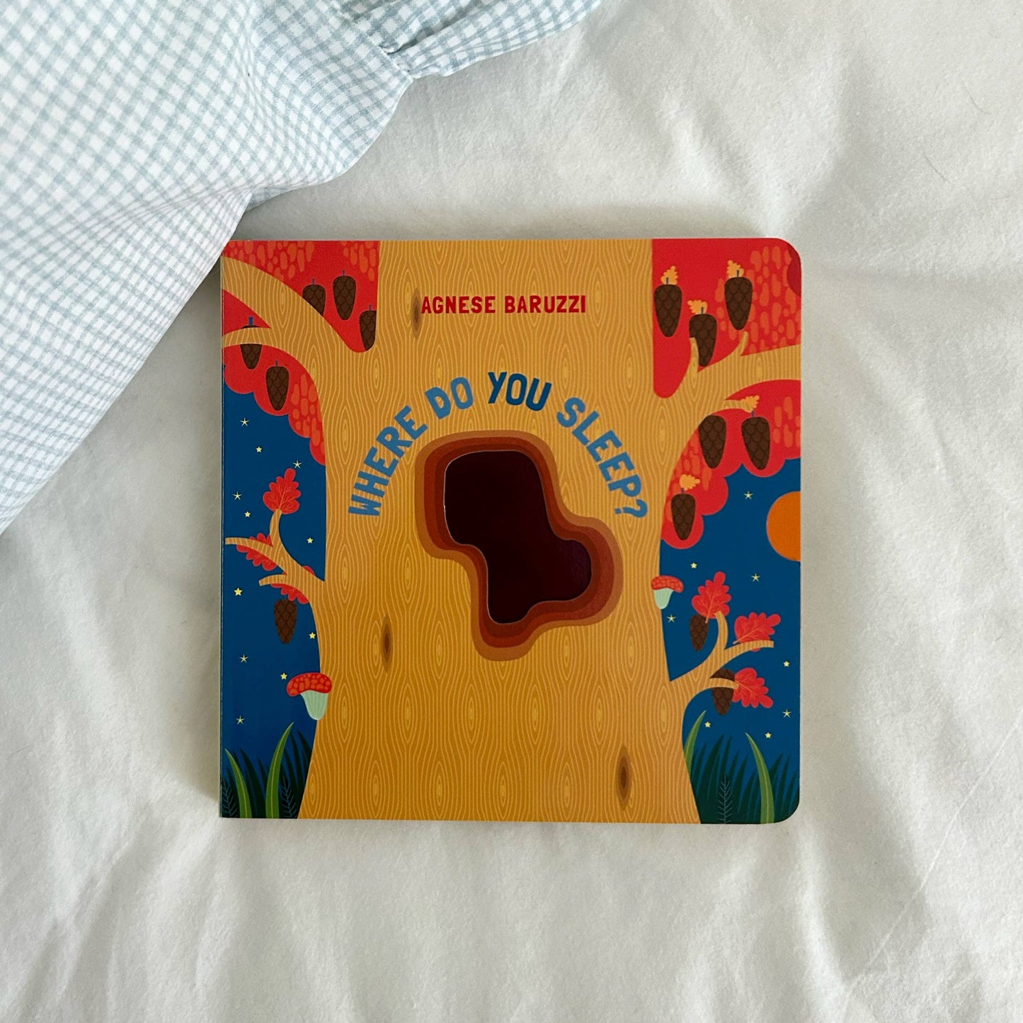 Where Do You Sleep Board Book