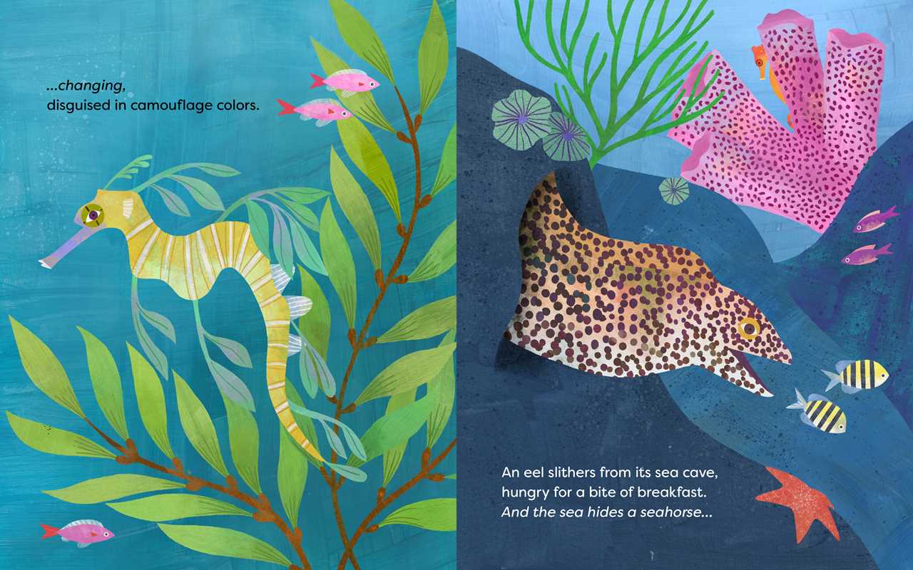 Sea Hides a Seahorse Book