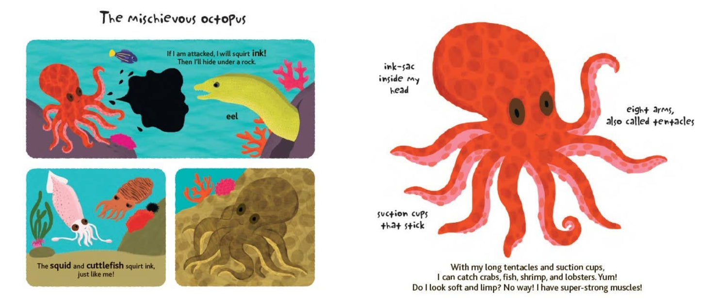 Touch and Explore: The Ocean Board Book