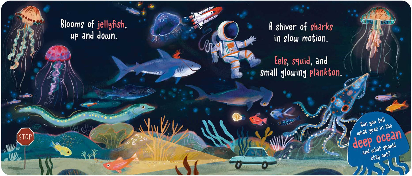 What Goes in the Ocean? Board Book