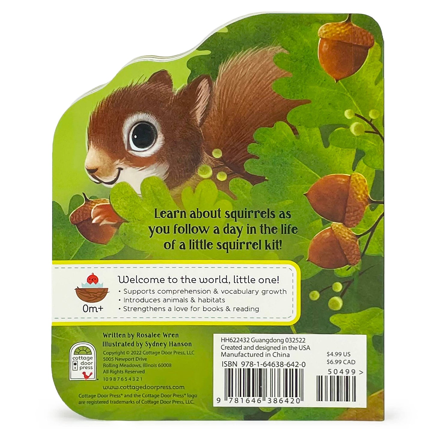 A Little Squirrel Board Book