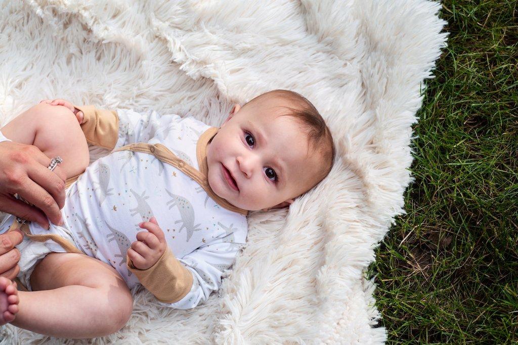 Shoulder Snap Long Sleeve Onesie - Ari Aardvark
