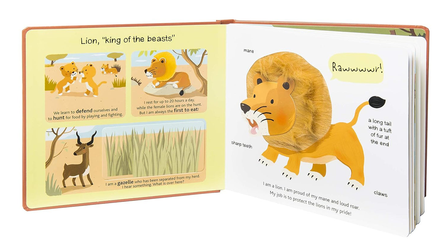 Touch and Explore: Safari Board Book