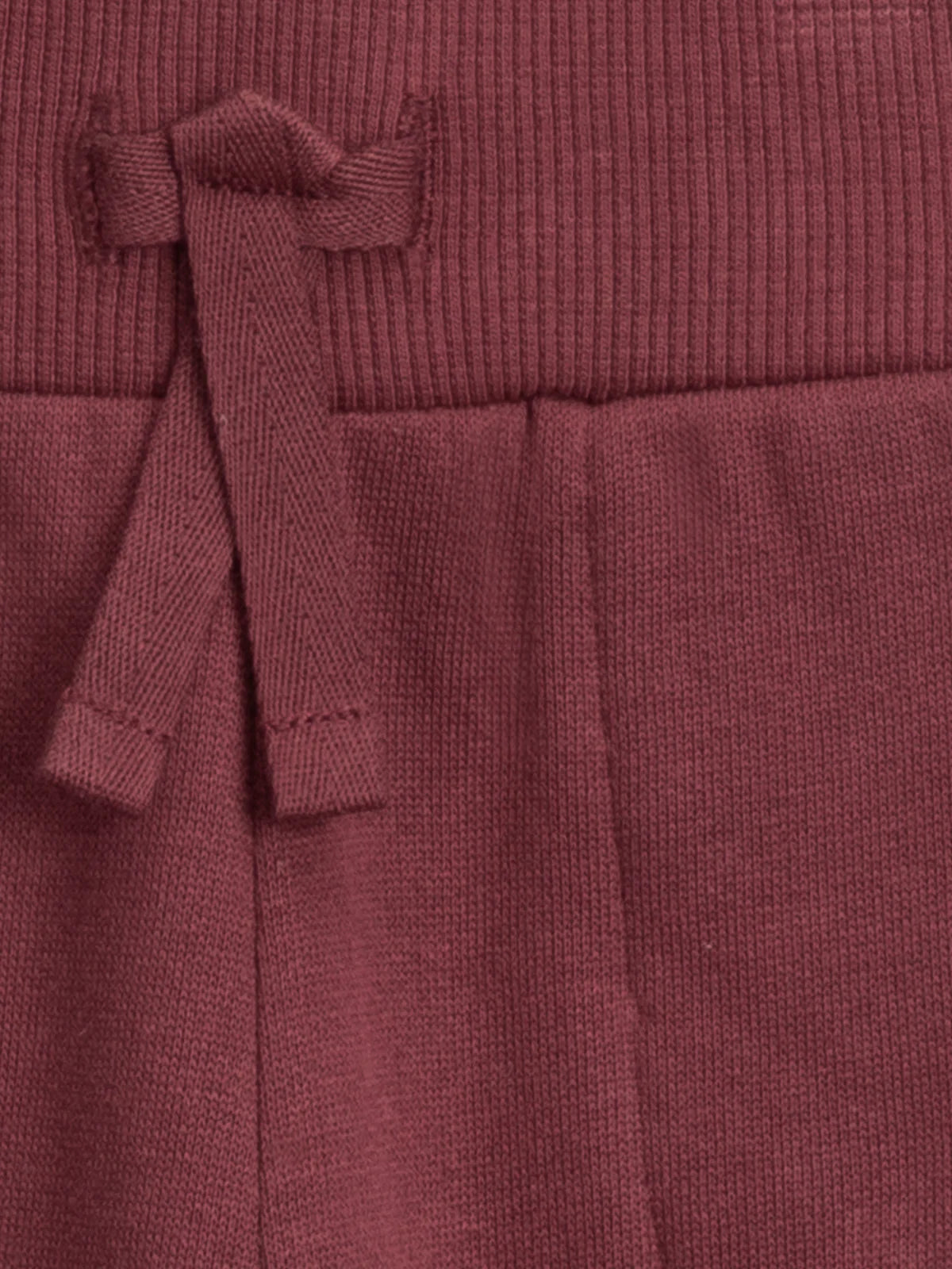 Organic Basin Fleece Joggers - Plum