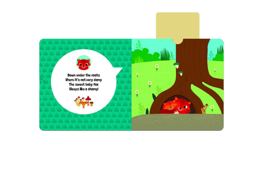 Where Do You Sleep Board Book