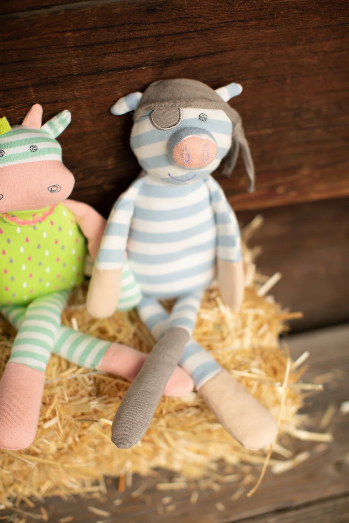 Organic Pirate Pig Plush Toy