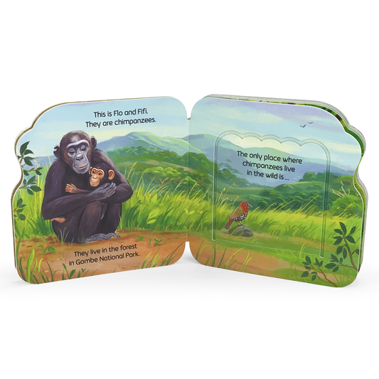 Jane & Me Chimpanzees Board Book
