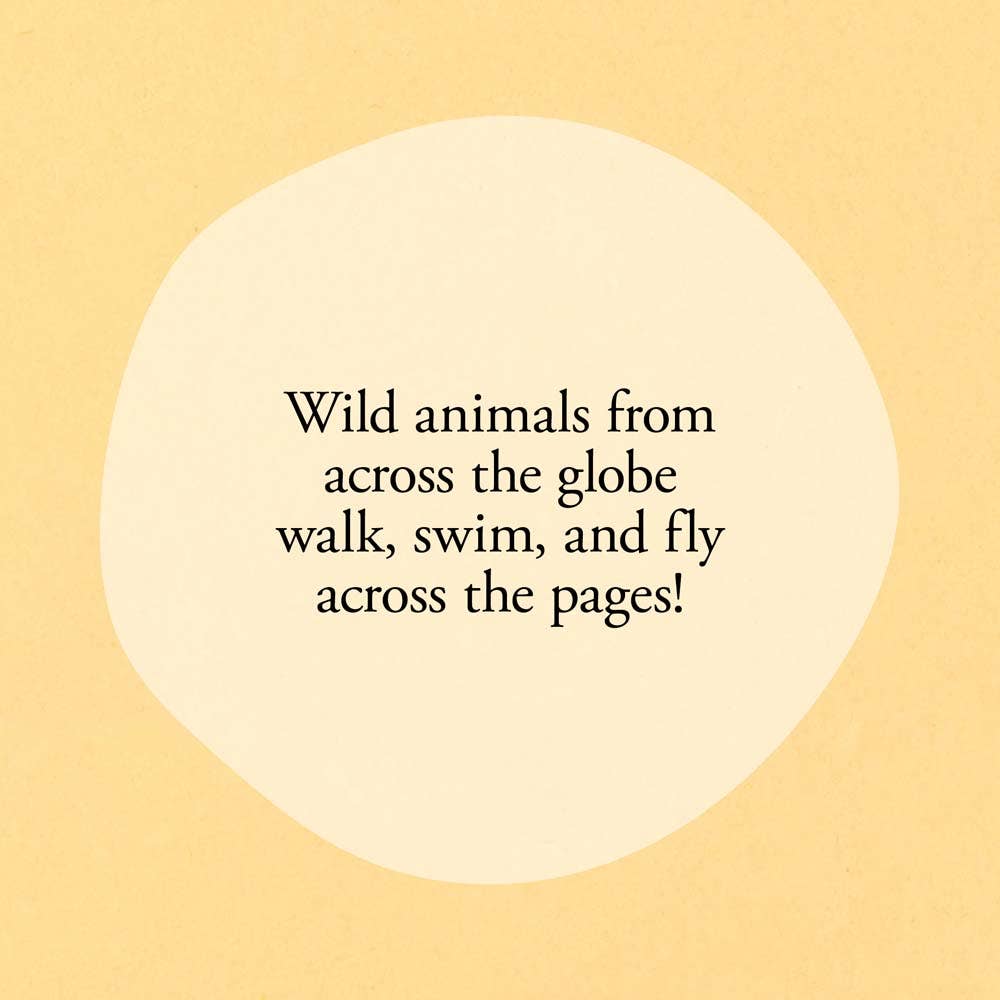 Hello Hello Opposites Board Book