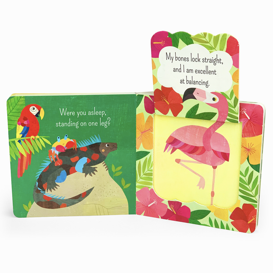What Is A Flamingo? Board Book