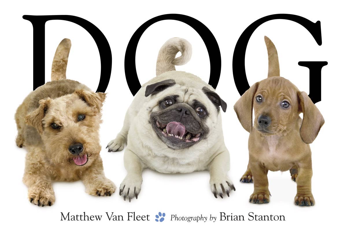 Dog by Matthew Van Fleet Board Book