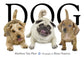 Dog by Matthew Van Fleet Board Book