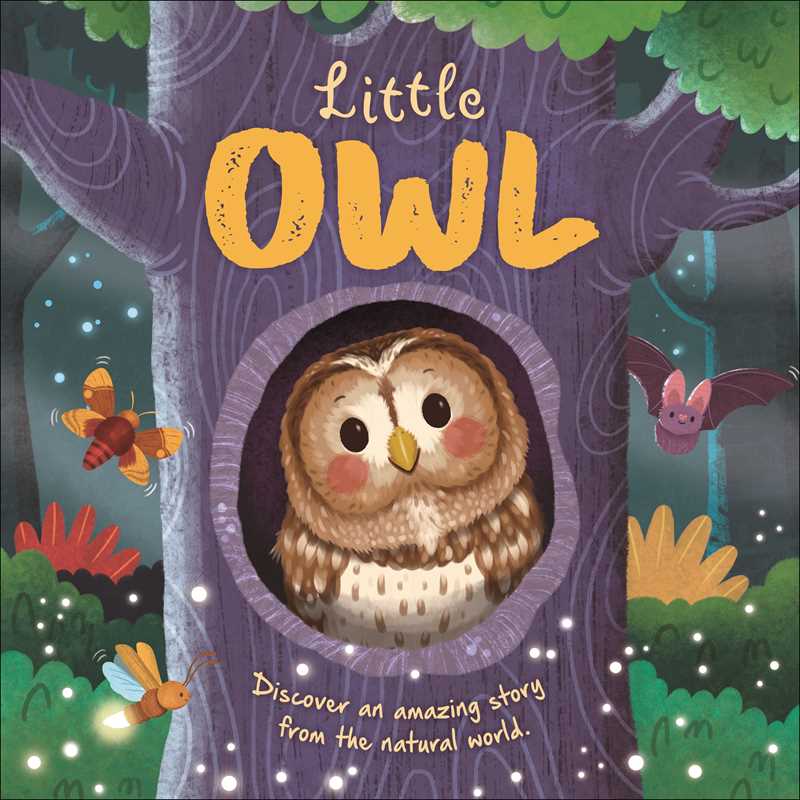 Nature Stories: Little Owl Board Book