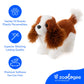8" Cavelier King Charles Spaniel Dog Stuffed Animal