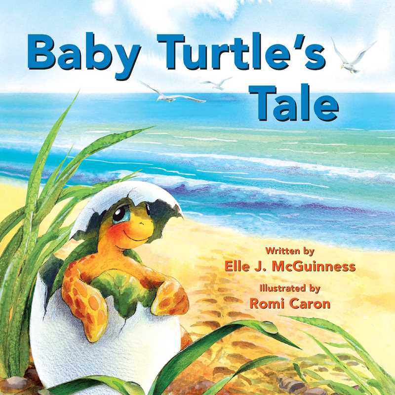 Baby Turtle's Tale Board Book