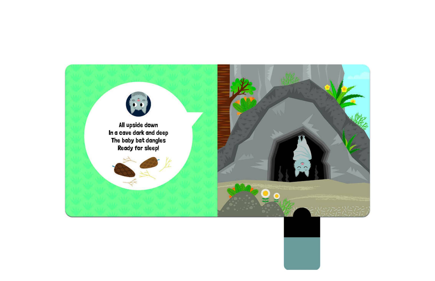 Where Do You Sleep Board Book