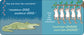 Jungle Night by Sandra Boynton Board Book