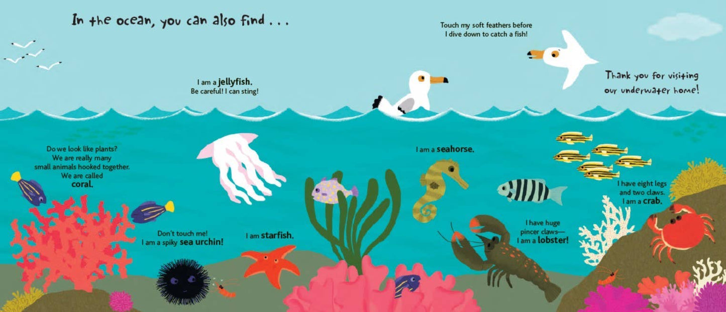 Touch and Explore: The Ocean Board Book