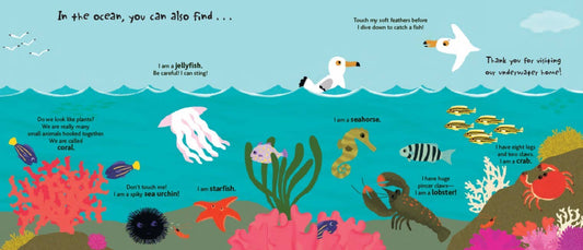 Touch and Explore: The Ocean Board Book