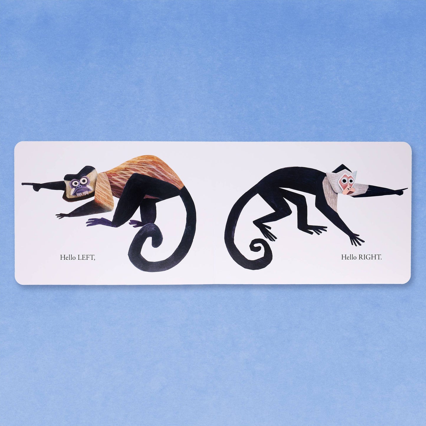 Hello Hello Opposites Board Book