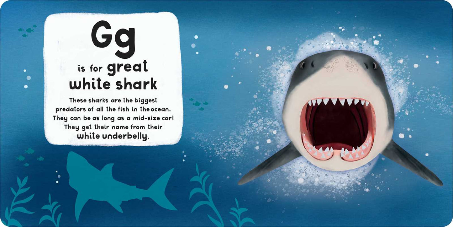 A-Z of Sharks Board Book