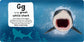 A-Z of Sharks Board Book