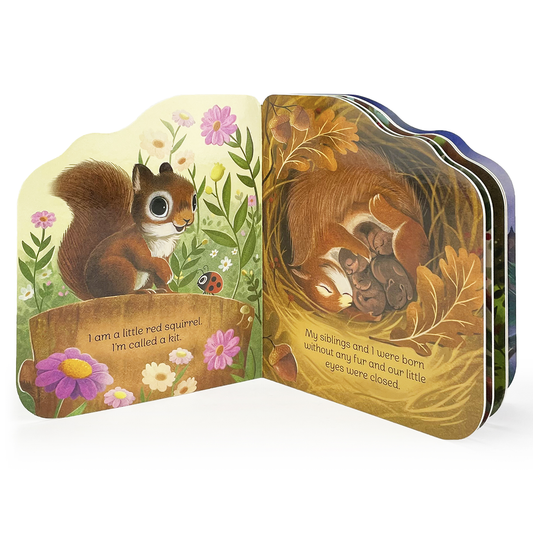 A Little Squirrel Board Book
