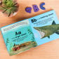 A-Z of Sharks Board Book