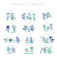 Birth Flowers Pima Baby Blanket