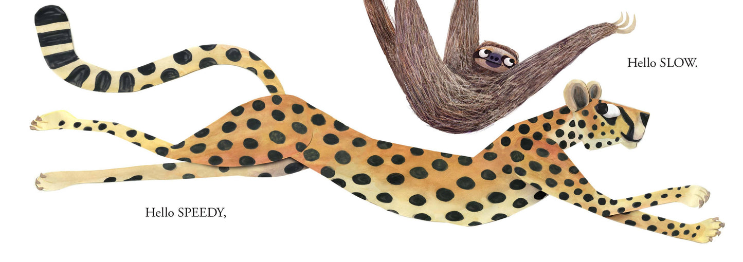 Hello Hello Opposites Board Book